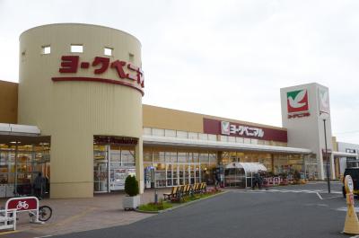ヨークベニマル石巻蛇田店