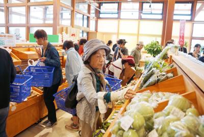 採りたて野菜がずらりと並ぶ