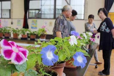 爽やかな大輪が来場者を出迎えた