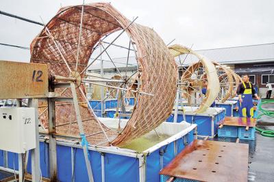 水を滴らせながら勢いよく回る水車