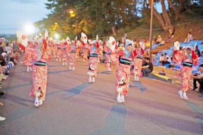 昨年のはねこ踊りフェスティバル