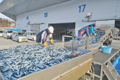 昨年復旧した西荷さばき棟前での初...