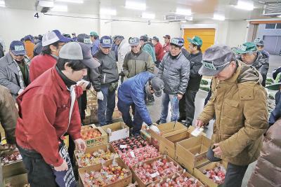 並んだ新鮮な野菜が次々と競り落と...