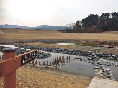 センター敷地内に整備された観察活...