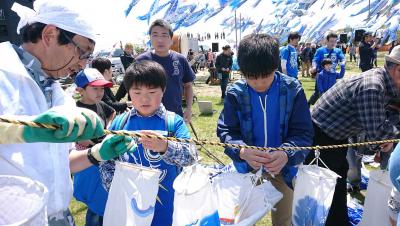 鯉のぼり掲揚に参加するショウタロ...