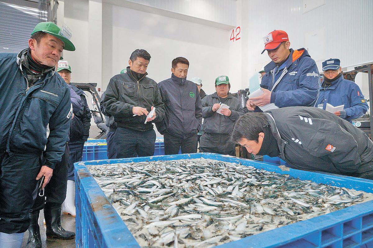 魚市場 青果市場で初競り 新年の幕開けに活況祈願 大漁と豊作 飛躍を期待 石巻日日新聞