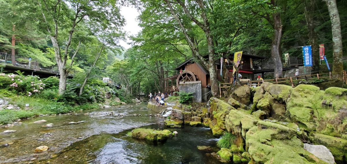 岩泉町清水川でヤマメ 旅先で手軽に渓流釣り つりパラダイス 石巻日日新聞