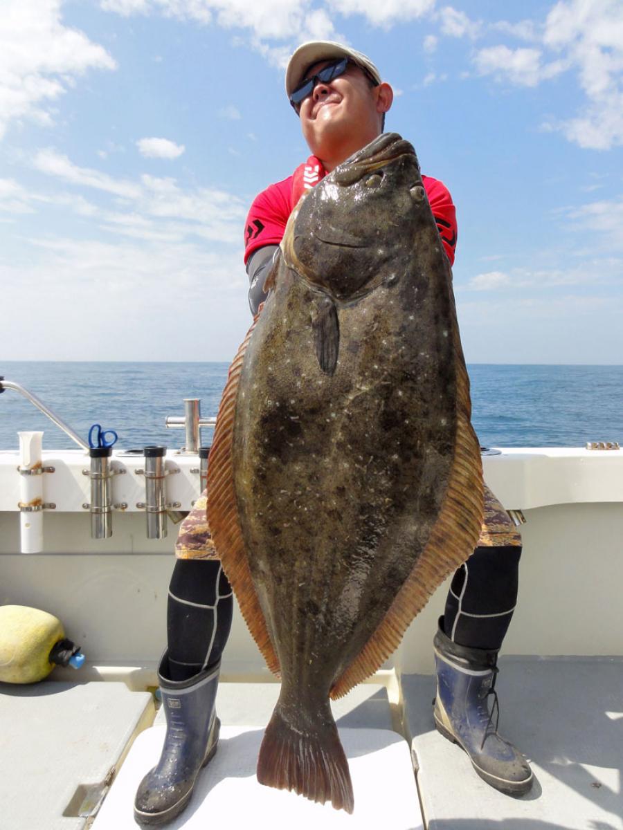 スロージギング 実釣編 キター １０５センチのヒラメ 水面に姿見せた巨大魚 石巻日日新聞